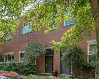 1133 W Cornelia Avenue Unit #F, Chicago