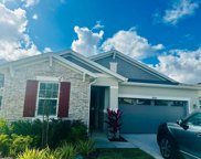 10208 Spring Lake Drive, Clermont image