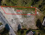 1180 Tuxedo Drive, Port Moody image