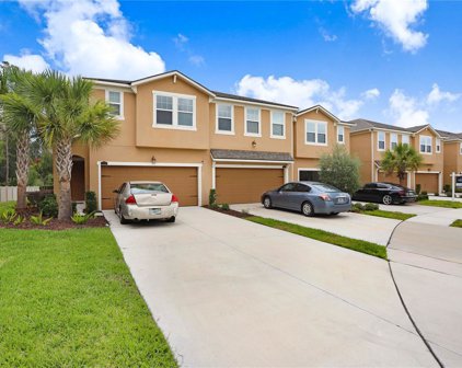 10206 Newel Valley Loop, Riverview