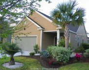Hilton Head Island image