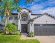11220 Taeda Drive, Orlando image
