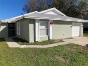 10327 Fernbrook Lane, Tampa image