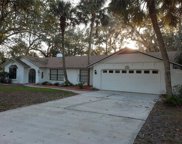 100 Ichabod Trail, Longwood image