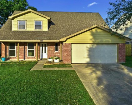 18938 Yaupon Trail, Humble