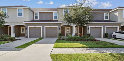 7056 Woodchase Glen Drive, Riverview