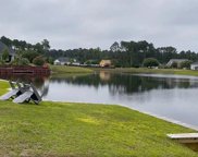 1113 Glossy Ibis Dr., Conway image