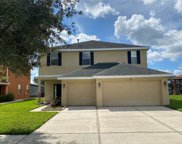 20131 Nob Oak Avenue, Tampa image