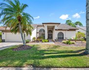3229 Glenridge Court, Palm Harbor image