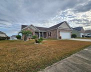3009 Shallow Pond Dr., Conway image