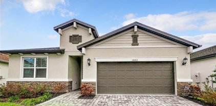 34412 Evergreen Hill Court, Wesley Chapel