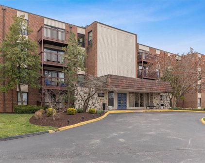 564 Sarah  Lane Unit #203, St Louis