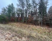 Ausable Ridge, Roscommon image