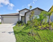 13506 Wild Ginger Street, Riverview image