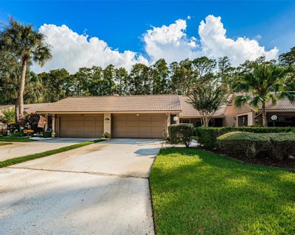 3192 Windmoor Drive N, Palm Harbor