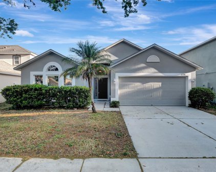 10306 River Bream Drive, Riverview