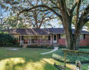 7900 County Road 217, Wildwood image