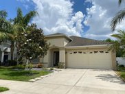 11541 Addison Chase Drive, Riverview image