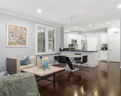 50 Calypso, Irvine