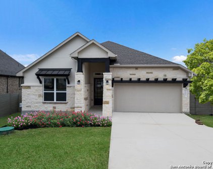 593 Tobacco Pass, New Braunfels
