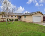 1843 Andrews AVE, San Jose image