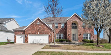 6518 Greycliff Heights  Drive, St Louis