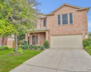 10718 Kobort Canyon, Helotes image