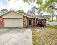 21516 Curlew Court, Lutz image