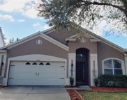 17304 Blooming Fields Drive, Land O' Lakes image