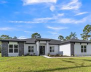 18218 Robertson Street, Orlando image