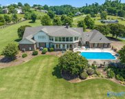 1190 Buck Island Drive, Guntersville image