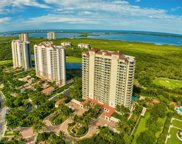 23750 Via Trevi Way Unit 1103, Estero image