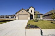249 Calera Cove, Cibolo image
