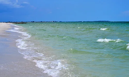Treasure Island Real Estate Search