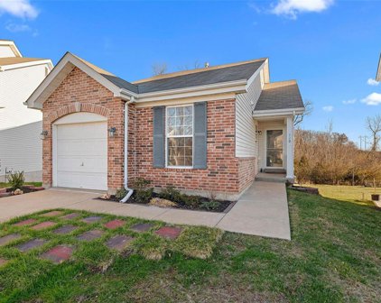 720 Wayland  Drive, O'Fallon