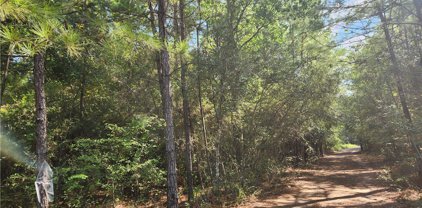 Lot 22 Sycamore Lane, Plantersville