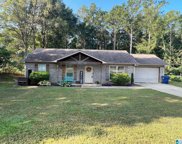 609 Truss Ferry Road, Pell City image