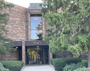 3110 Pheasant Creek Drive Unit #202, Northbrook image