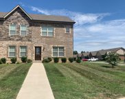 167 Dundee Dr, Clarksville image