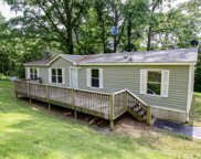 115 Courtney Drive, Pell City image