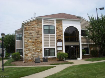 488 SCHOOLEYS MOUNTAIN ROAD, Washington Twp.