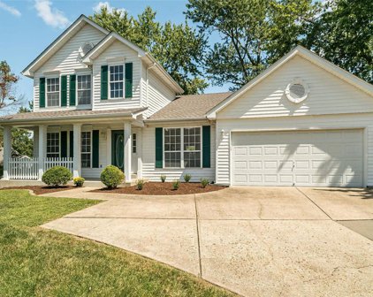 10134 Musick  Avenue, St Louis