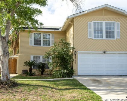 8003 Coral Trail, San Antonio
