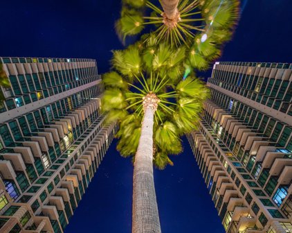 1199 Pacific Hwy Unit #307, Downtown