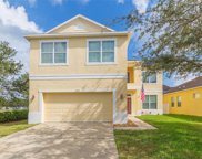 7349 Forest Mere Drive, Riverview image