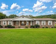 806 Cotton Avenue, Oneonta image