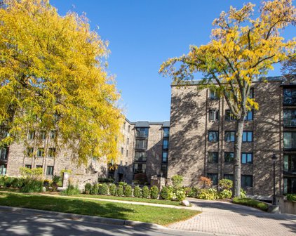 1005 Bonnie Brae Place Unit #2F, River Forest