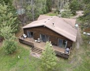 55128 W Bear Lake Forest Road, Cook image