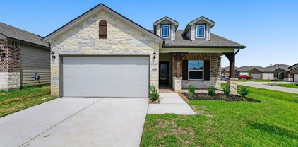 11008 Ondrea, Willis