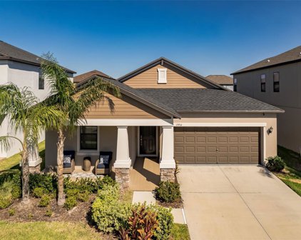 13916 Snowy Plover Lane, Riverview